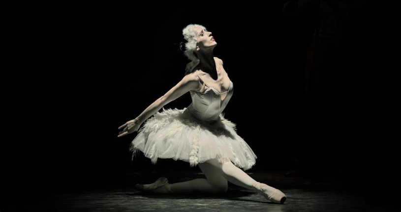 Il Cigno