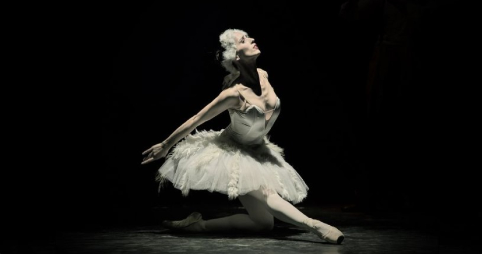 Il Cigno